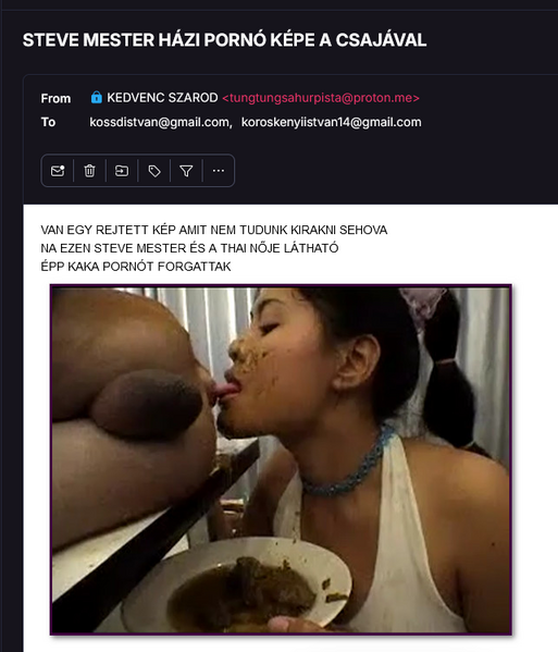 Fájl:Stevemester.png