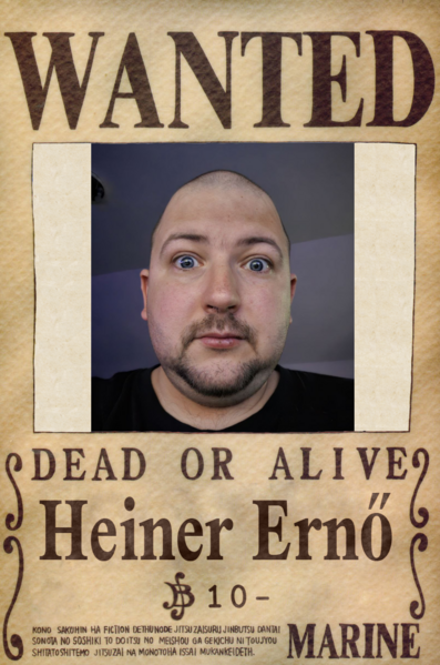 Fájl:Wanted.png